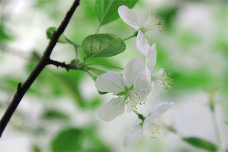 1555664717355953.jpg a.jpg