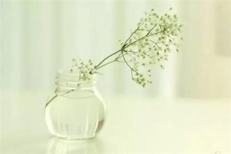 1555990590833708.jpg v.jpg