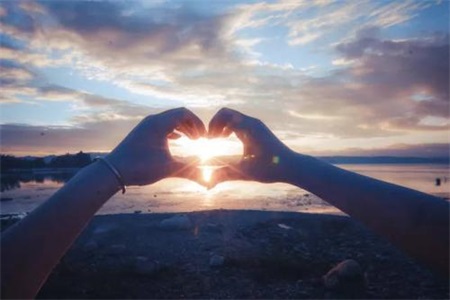 1556163102945342.jpg h.jpg