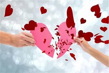 1556249174324059.jpg q.jpg