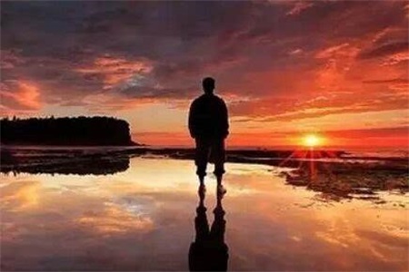 1556268594459487.jpg h.jpg