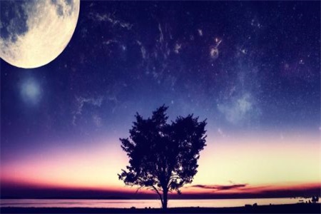 1556268610277538.jpg o.jpg