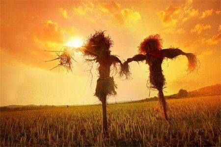 1556422200233015.jpg a.jpg