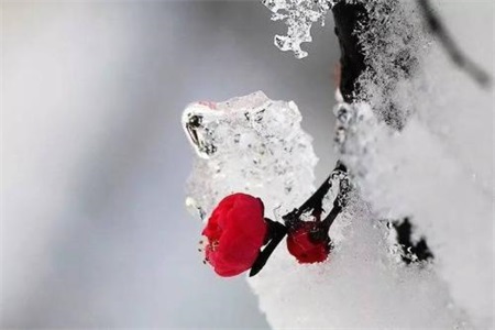 1552965825381756.jpg 2那个不想结婚,只想恋爱的人,我终于和他分手了.jpg