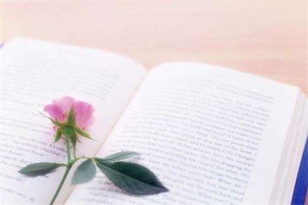 1553051386361328.jpg 2当初有两个人追我,现在我觉得选错人了,怎么办.jpg