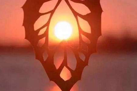 1553502012786133.jpg r老公和女同事纠缠不清,他说改却一直没有兑现.JPG