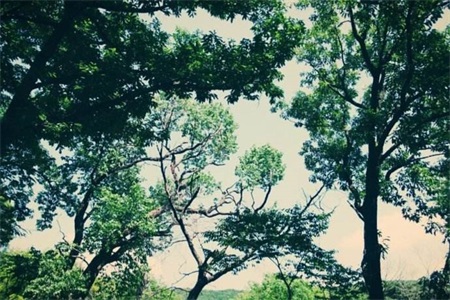 1553504635564249.jpg 1暴力会蔓延,孩子会治愈母亲吗?.jpg