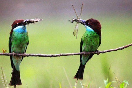 1553674679331808.jpg 2我以为老公爱我,但其实他只是在忍耐我.JPG