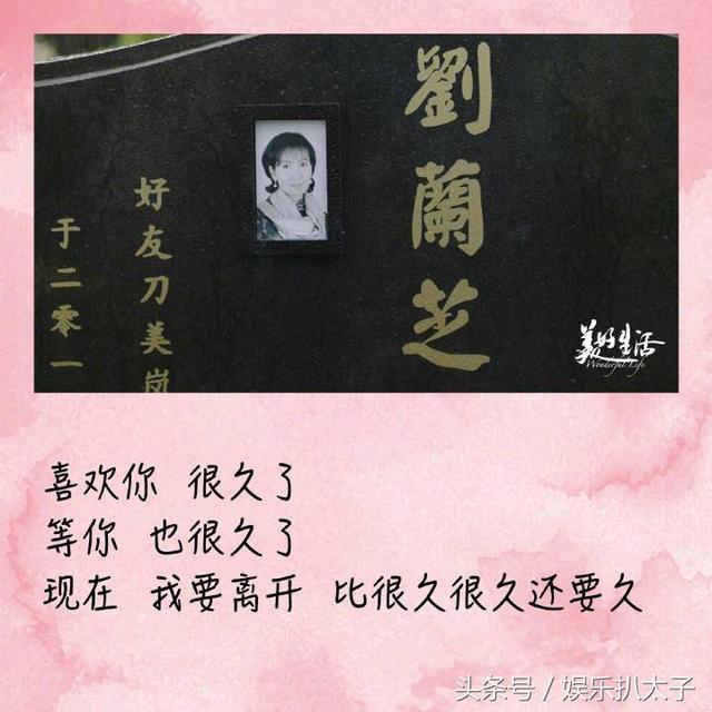 美好生活最后一集（美好生活大结局）(7)