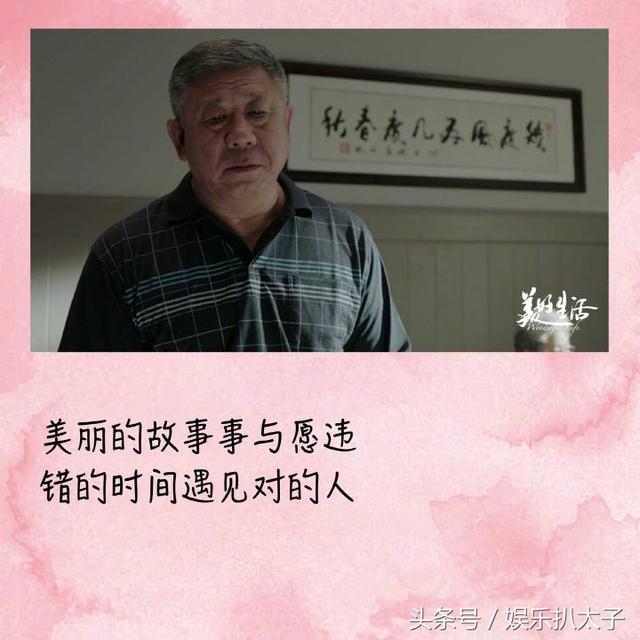 美好生活最后一集（美好生活大结局）(8)