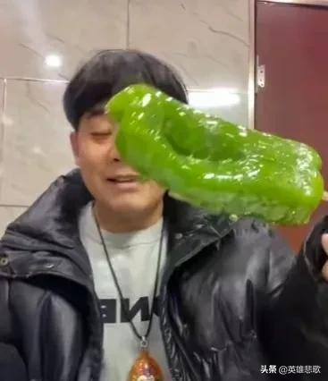 盘点那些死掉的网红（表面很风光结局很凄凉）(5)