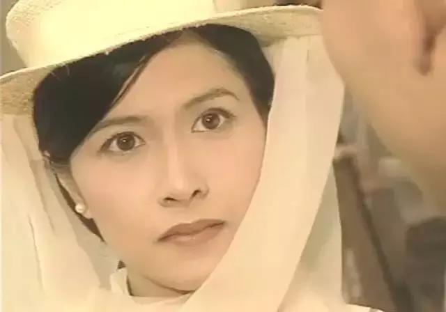 甄子丹93年演武打片（盘点八大经典武打动作电视剧）(15)