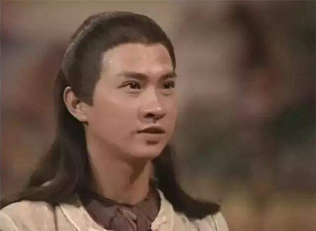 甄子丹93年演武打片（盘点八大经典武打动作电视剧）(13)