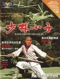 李连杰电影45部（李连杰电影全集之上篇）(2)