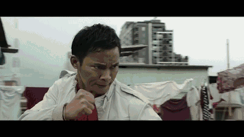 杀破狼3上映了吗（无剧透看完杀破狼3）(4)