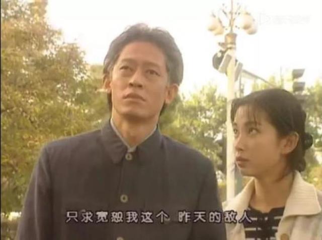 手机电视剧王志文（王志文刘佩琦步步惊心的谍战）(8)