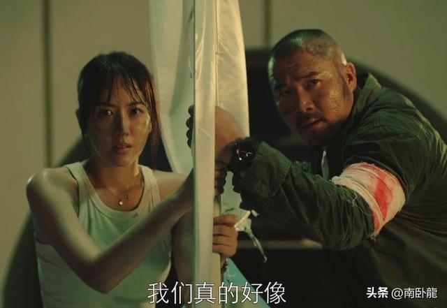 跑酷电影排行榜前十名 全程跑酷的电影(15)