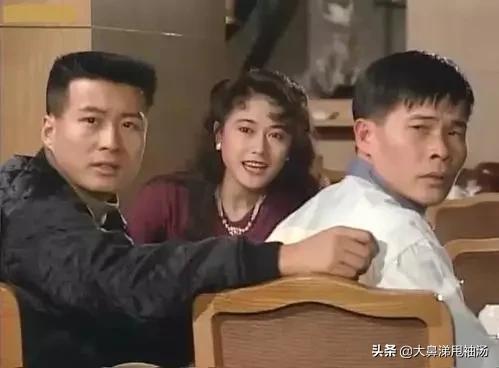 重温8090后经典电视剧（80后记忆中的老电视剧）(30)