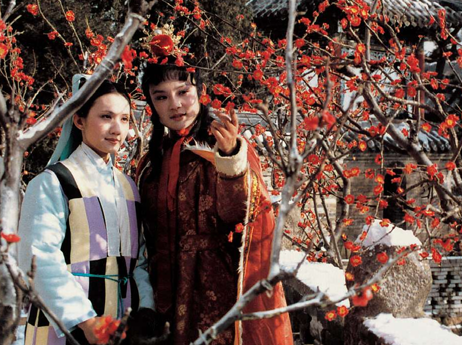 87版红楼梦全部演员表（四大名著红楼梦12金钗演员演员表介绍）