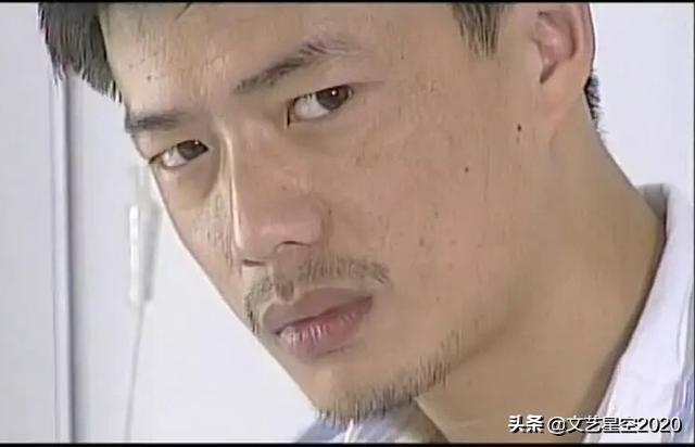 段奕宏电视剧（段奕宏十大经典影视剧）(15)