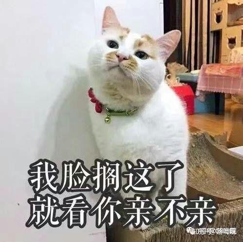 推荐十部超美爱情电影（国外爱情十大经典电影）(2)