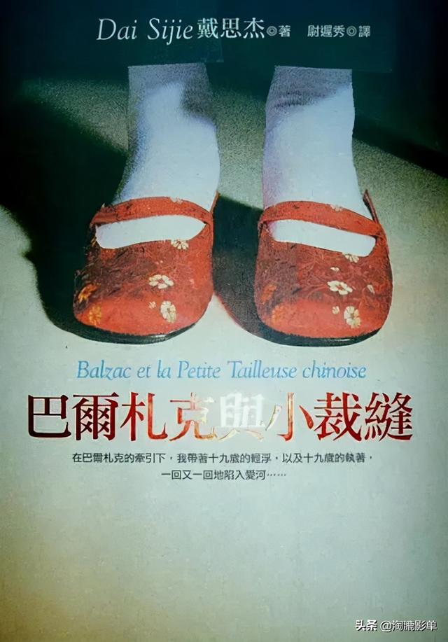 用四川话拍的电影有哪些（8部必看四川电影）(6)