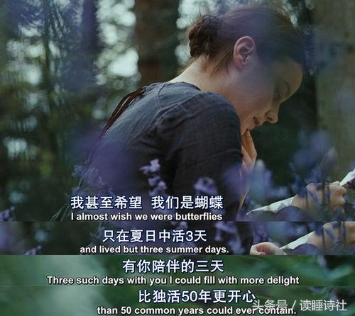 讲诗歌的外国电影（与诗歌有关的20部经典电影）(11)