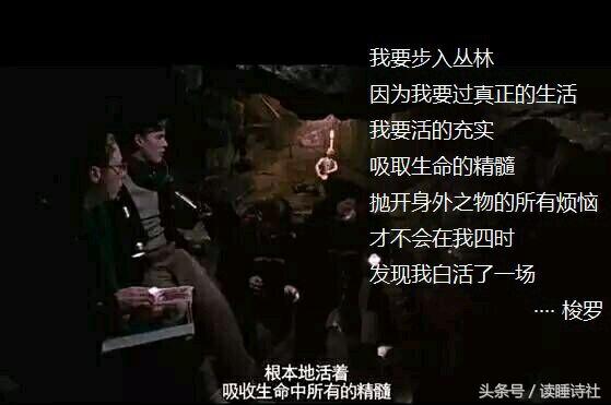 讲诗歌的外国电影（与诗歌有关的20部经典电影）(6)