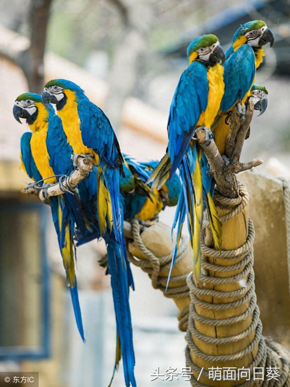 石家庄市动物园