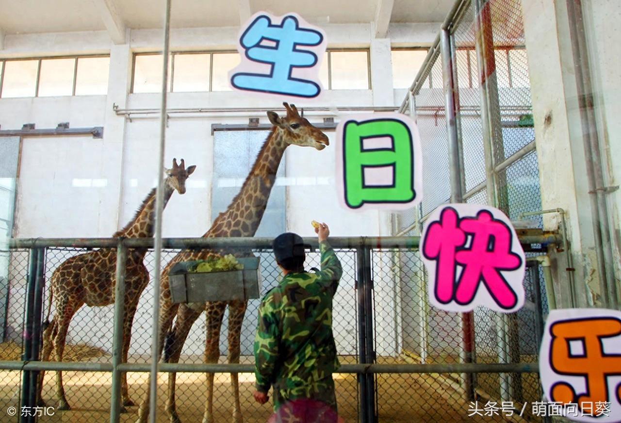 石家庄市动物园