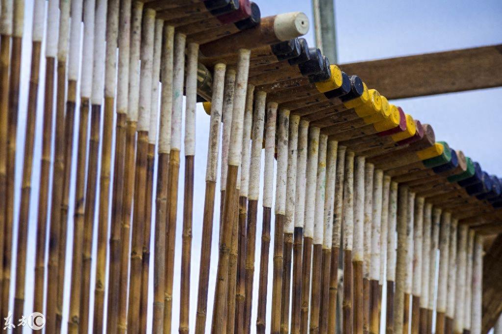 看泰国大象马球锦标赛,这比赛真是太有姿色了!