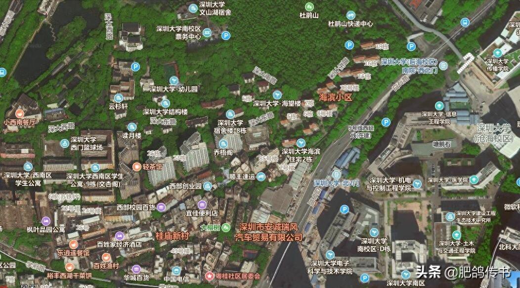 十秒看懂深圳大学地理布局(高清卫星图)