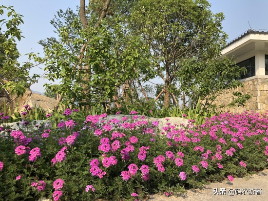 湖北秭归百姓休闲有了新去处——望江公园