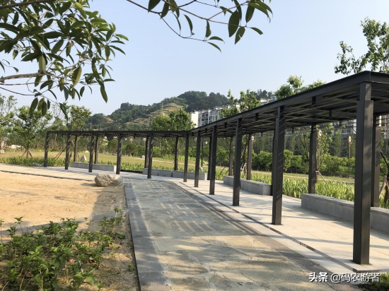 湖北秭归百姓休闲有了新去处——望江公园