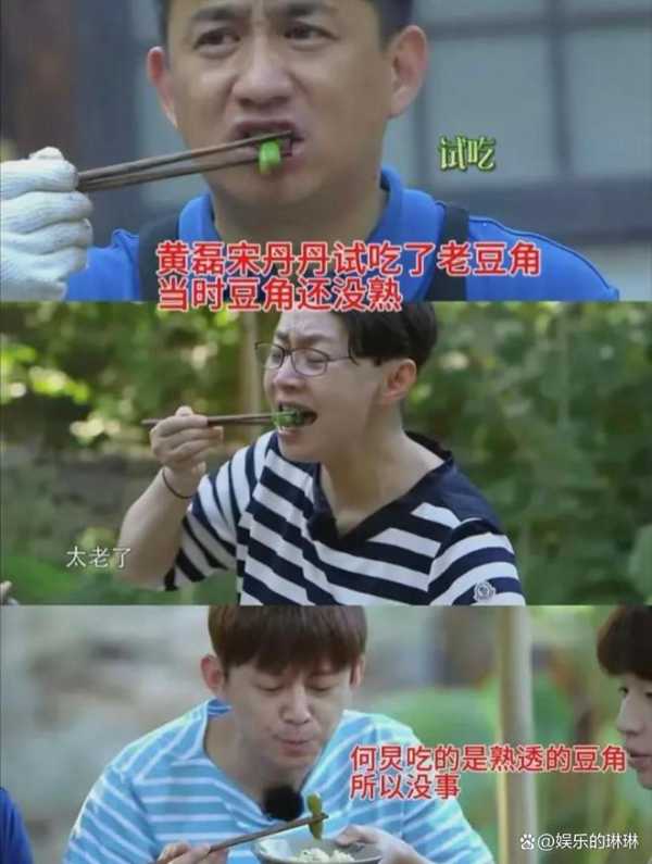 黄磊首次回应未熟豆角食物中毒争议