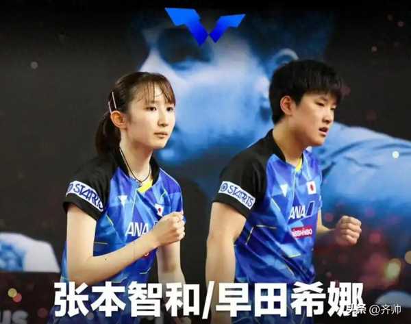 张本智和取关早田希娜!决赛想打王楚钦