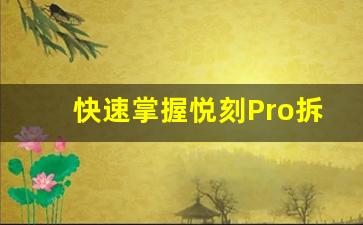 快速掌握悦刻Pro拆机技巧,全面解析过程